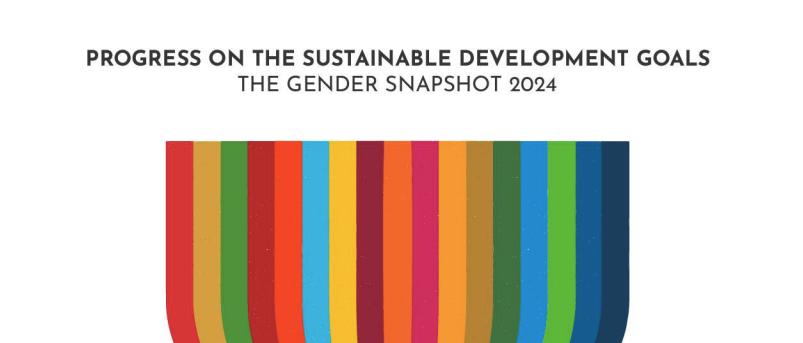 Progress on the Sustainable Development Goals: The gender snapshot 2024 – UN Women