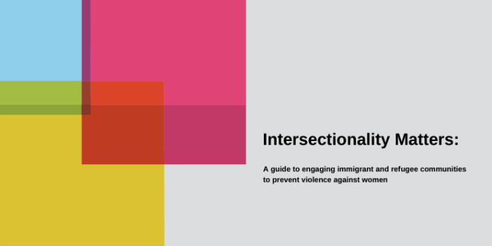 Intersectionality Matters – Multicultural Centre for Women’s Health
