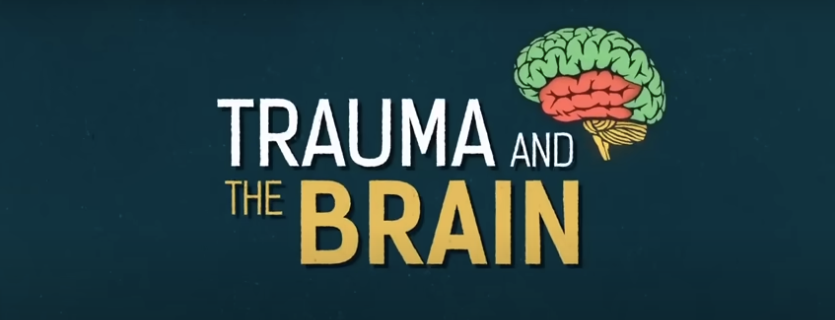 Trauma and the Brain – NHS Lanarkshire
